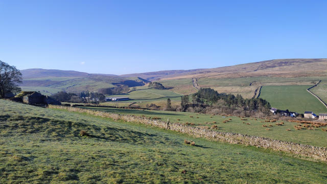 Sound of sheeps getting fed in Garrigill