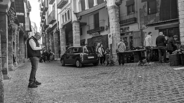 Morella Market